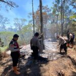 Kawasan Hutan Gunung Buthak Alami Kebakaran, Jalur Pendakian Ditutup Sementara IMG-20260905-WA0010